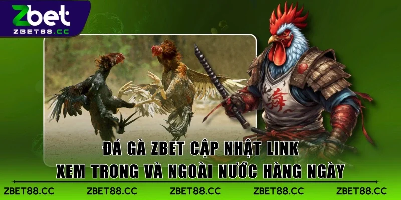 Đá Gà Zbet cập nhật link xem trong và ngoài nước hàng ngày