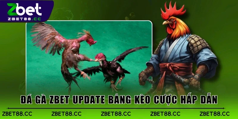 Đá Gà Zbet update bảng kèo cược hấp dẫn