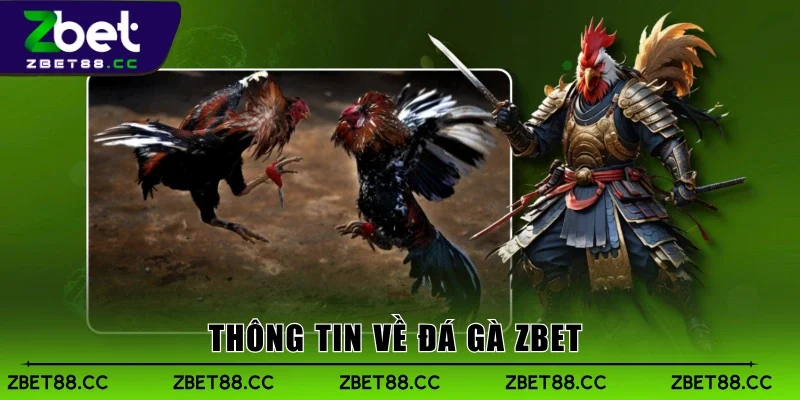Thông tin về Đá Gà Zbet